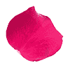 icon petal leaf - Aroma Purely